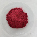 Hight Quality Elderberry Fruit Powder